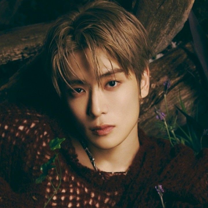 ✪ alea. tweet media