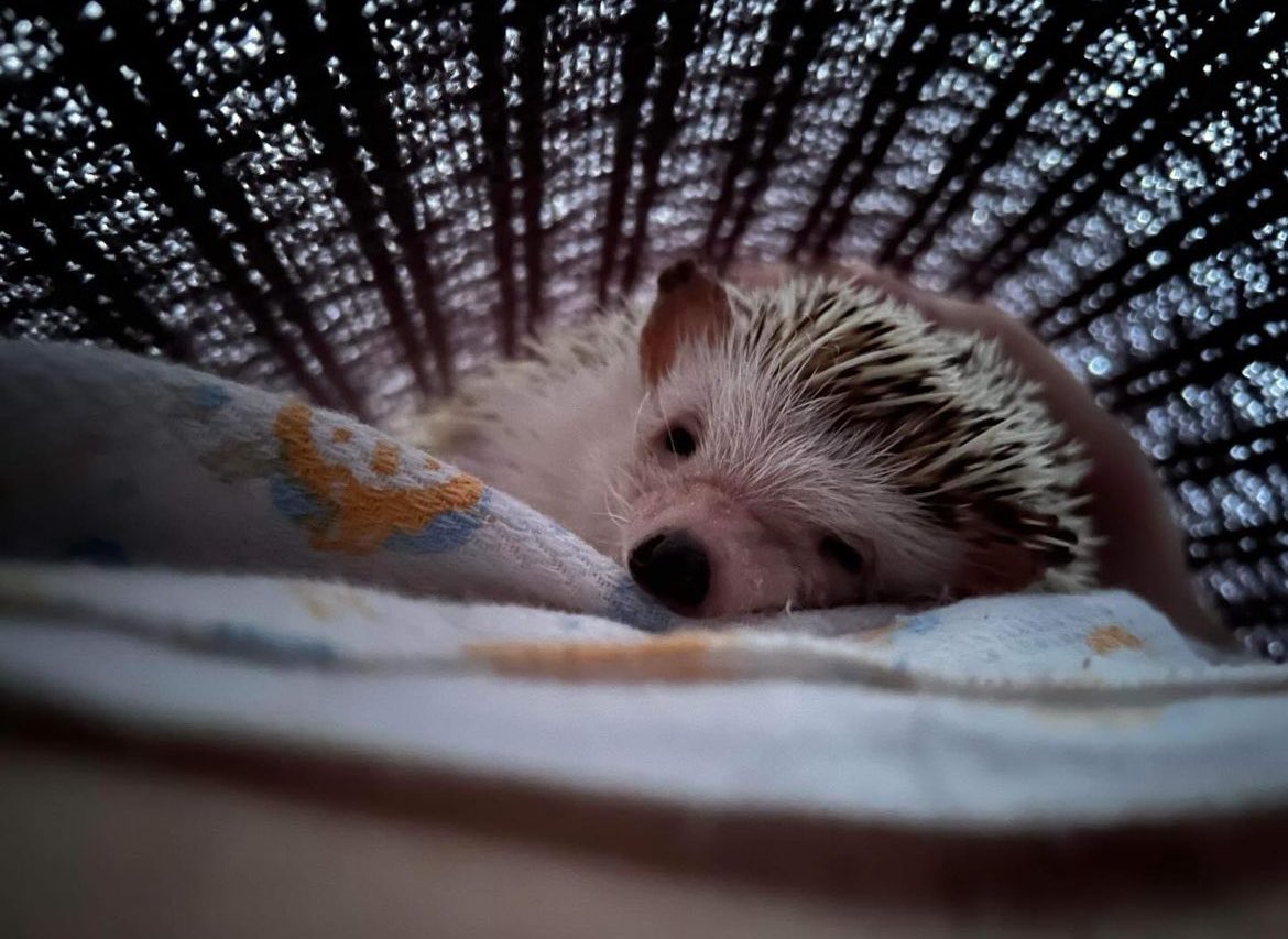 Tuesday 2nd April, 2024