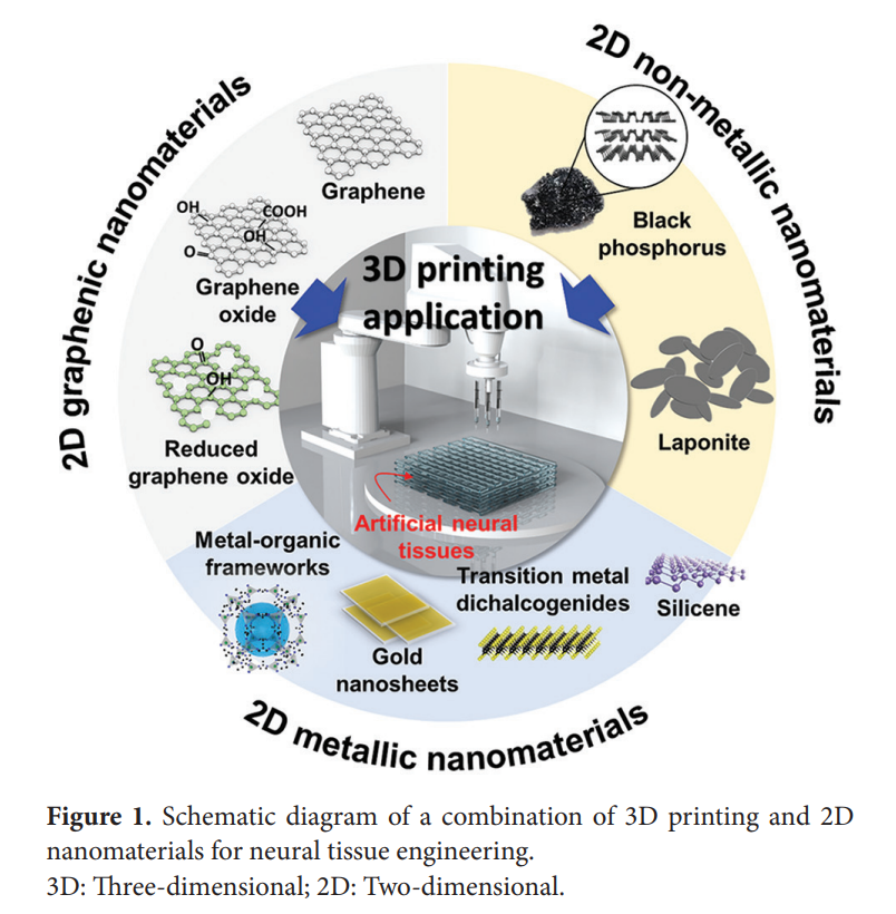 🔥#InterestingPaper 'Advanced approaches with combination of 2D #nanomaterials and #3Dprinting for exquisite neural tissue engineering' 
👥By Dong-Wook Han et al. @PusanUni 
Access for Free: doi.org/10.36922/msam.…