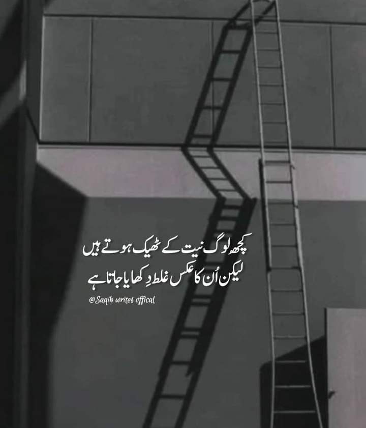 Muhammad Shabbir (@muhamma22611172) on Twitter photo 