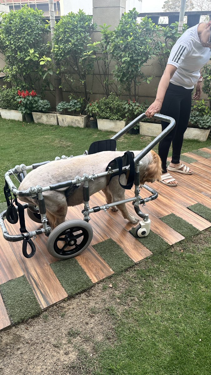 Sandeep Mall tweet media