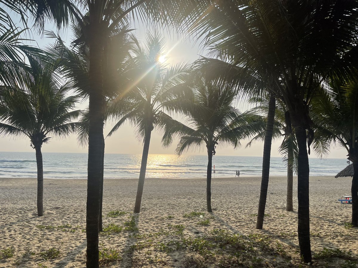 Good morning from paradise 🏝️ ☀️ #beachlife #businessmixedwithpleasure
