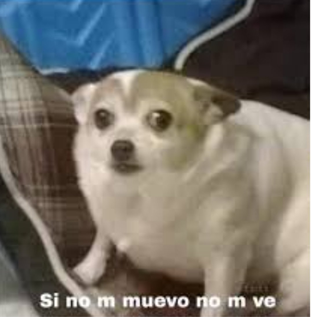 paulinau's tweet photo. Terremoto en Taiwán, tsunami en Japón, sismo en Ecuador

Chile: https://t.co/yq1LkG2mT2