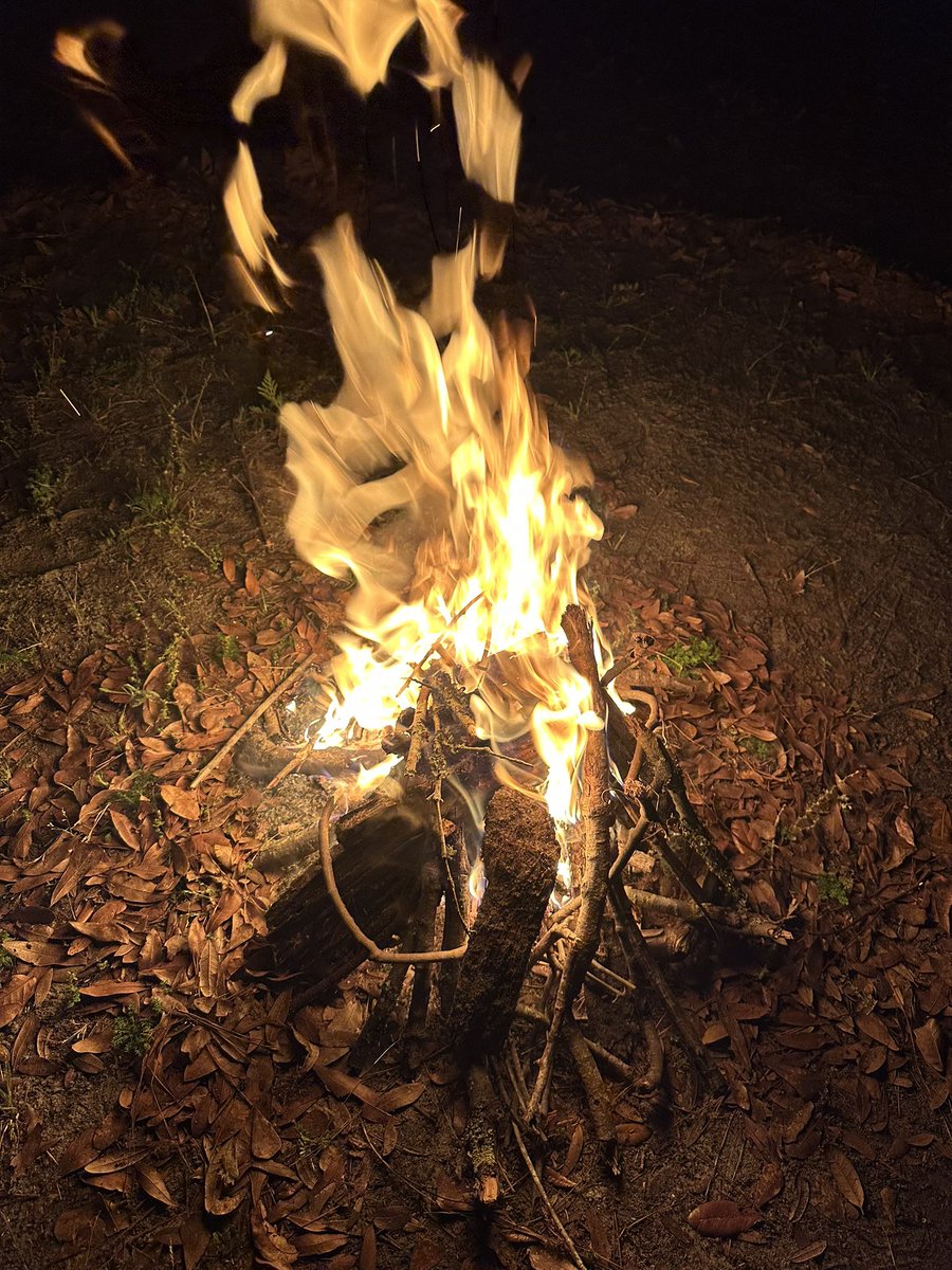 if you don’t hear from me, 
i got eaten by a bear