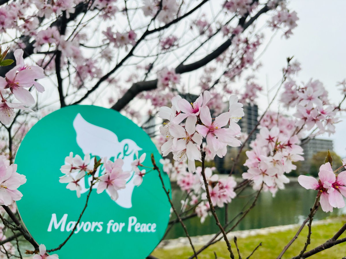 The new fiscal year started on April 1 in Japan 🌸❣️ #MayorsforPeace will actively share our initiatives through our social media as well as the previous years💡
We would be grateful if you would like or repost our posts🕊️🕊️♡