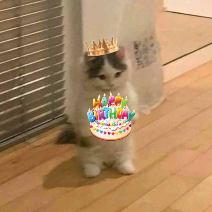 happy birthday anakk cantik❤️❤️ I hope you are happy and can be loved by many people, may God soon grant all your wishes. 
<a href="/cakescwup/">Ayaa the fairy</a>