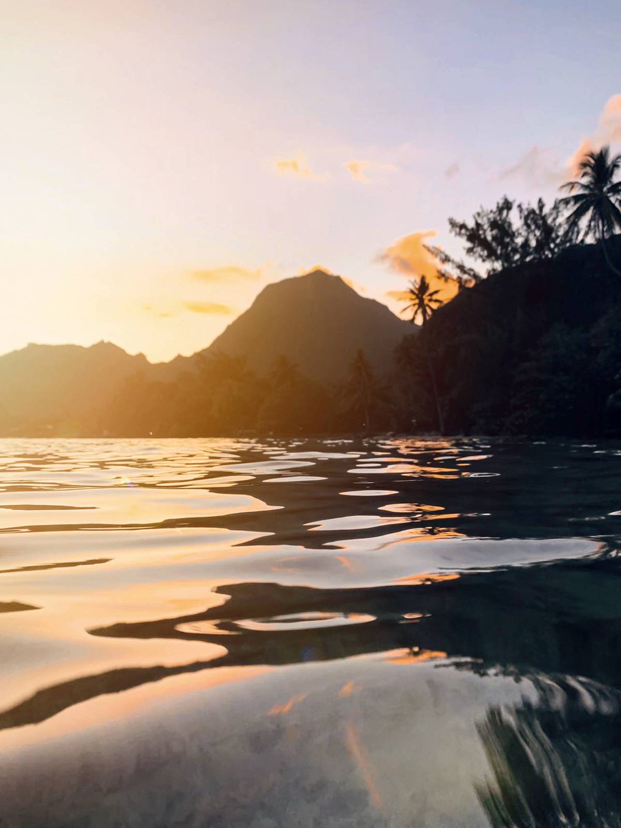 l'île de Moorea 🇵🇫 en 4 photos 🤩 prise par moi 😉📸 pour moi c'est la plus belle île 🤷‍♂️💖☺