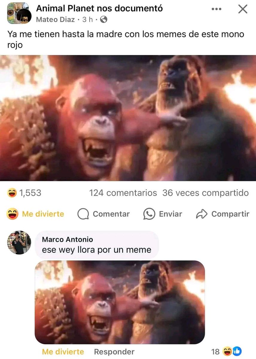 El Cóndor tweet media