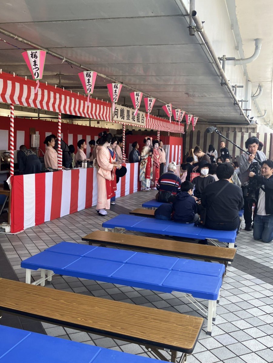 桜がチラホラ咲き始めましたね🌸先日向島墨堤組合桜まつり芸妓茶屋が開催されていました‼️そうなんです。向島は昔から芸妓さんの街なのです👏今でも料亭が立ち並び街で芸妓さんが歩いてる姿も見られます😊不動産屋のお部屋探しでも芸妓さんがお部屋を探しに来られます✨風情があり素敵な街ですね✨イン