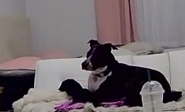 Flying home to see my purple boo bear 💜 https://t.co/lt2UTaxDtJ<a href="/tag/macymeadows"class="tags"><span>#macymeadows</span></a><a href="/tag/macymeadowsbirthday"class="tags"><span>#macymeadowsbirthday</span></a>