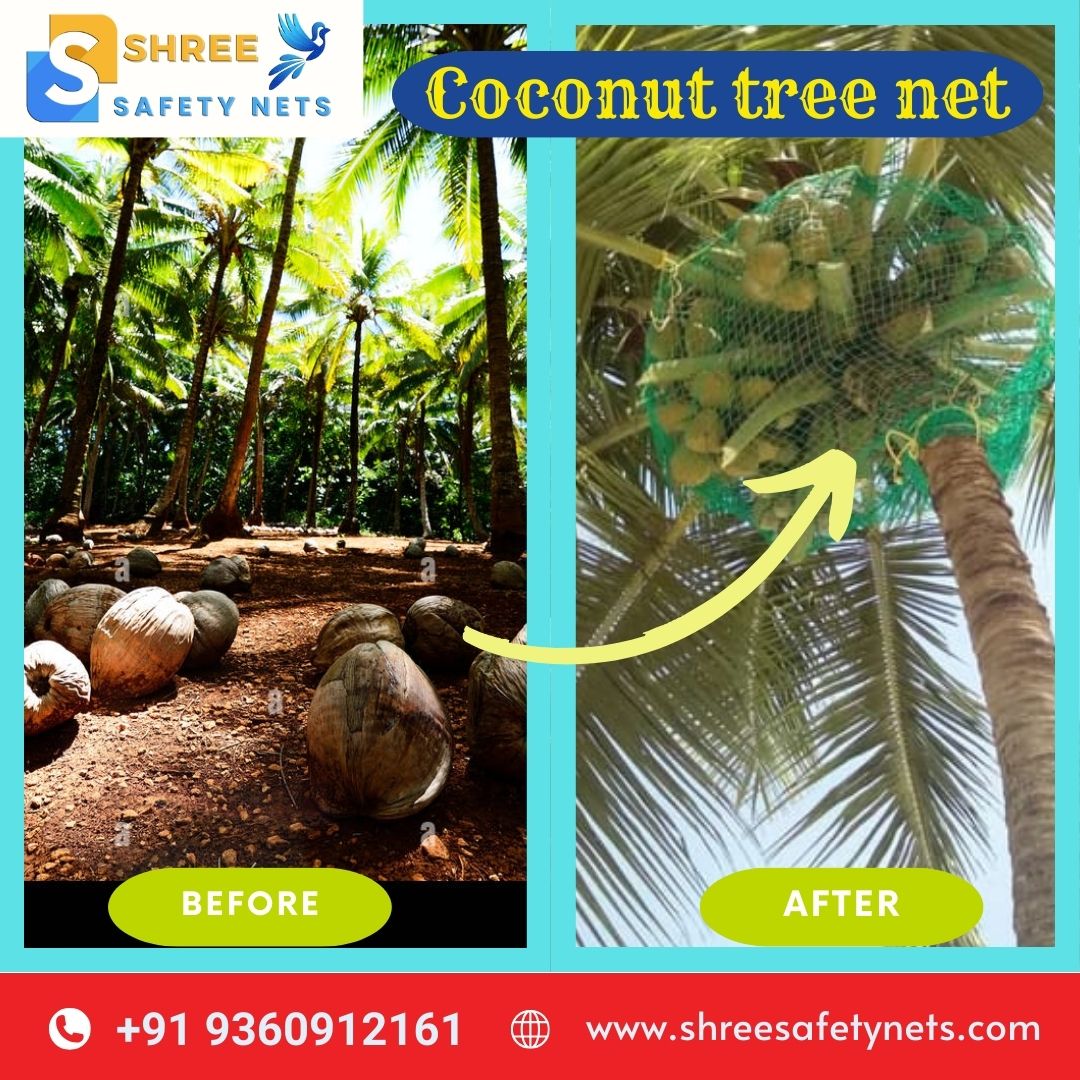 Protect your surroundings with Coconut Tree Nets by Shree Safety Nets Chennai! Keep properties safe from falling coconuts and ensure peace of mind. Contact us at 9360912161 for free installation. #CoconutTreeNets #ShreeSafetyNets #ChennaiSafety 
shreesafetynets.com/coconut-tree-s…