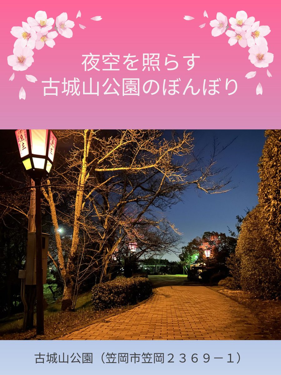 kasaokacci's tweet photo. 古城山公園に夜桜を照らす『ぼんぼり』を設置しました。ご家族やご友人とお楽しみください。
【設置場所】
 古城山公園（笠岡市笠岡２３６９－１）
【駐車場】
 頂上に約３０台の無料駐車場あり
 （大型の車両は登れません）
【アクセス】
JR笠岡駅から徒歩10分
 山陽自動車道笠岡インターから15分 https://t.co/Dk4xfnfvnF