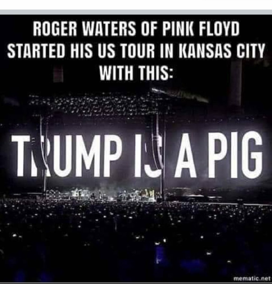 #Resistance #BlueCrew

EARLY BIRDS🐦 Meet &amp; Greet

I THINK PIG IS BEING WAY TOO KIND👀🤷🏼‍♂️

What do you think?

Like💙
Comment   💯💯💯
Retweet♻️
Follow Each Other🤝🏻
Follow <a href="/SenseiDuckOR/">🌊💚Duck🦆Fu💛🌊</a> 🌊🌊🌊

#BlueWave2024 #StrongerTogether🌊💙🌎💙🌊