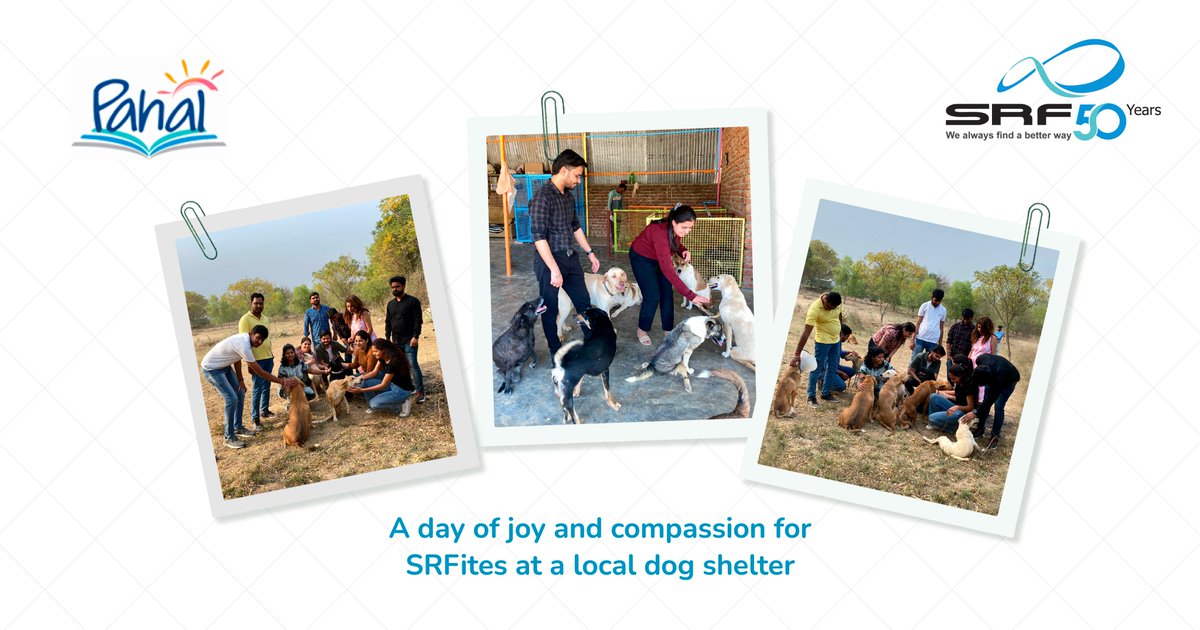 #GoldenLegacy #SRF50
A day of joy and compassion!
Our employees hosted an ice-cream party for specially abled (paralyzed, immobile, two-legged, blind) and senior dogs at a local dog shelter, Tails of Compassion.
#employeevolunteering  #csr