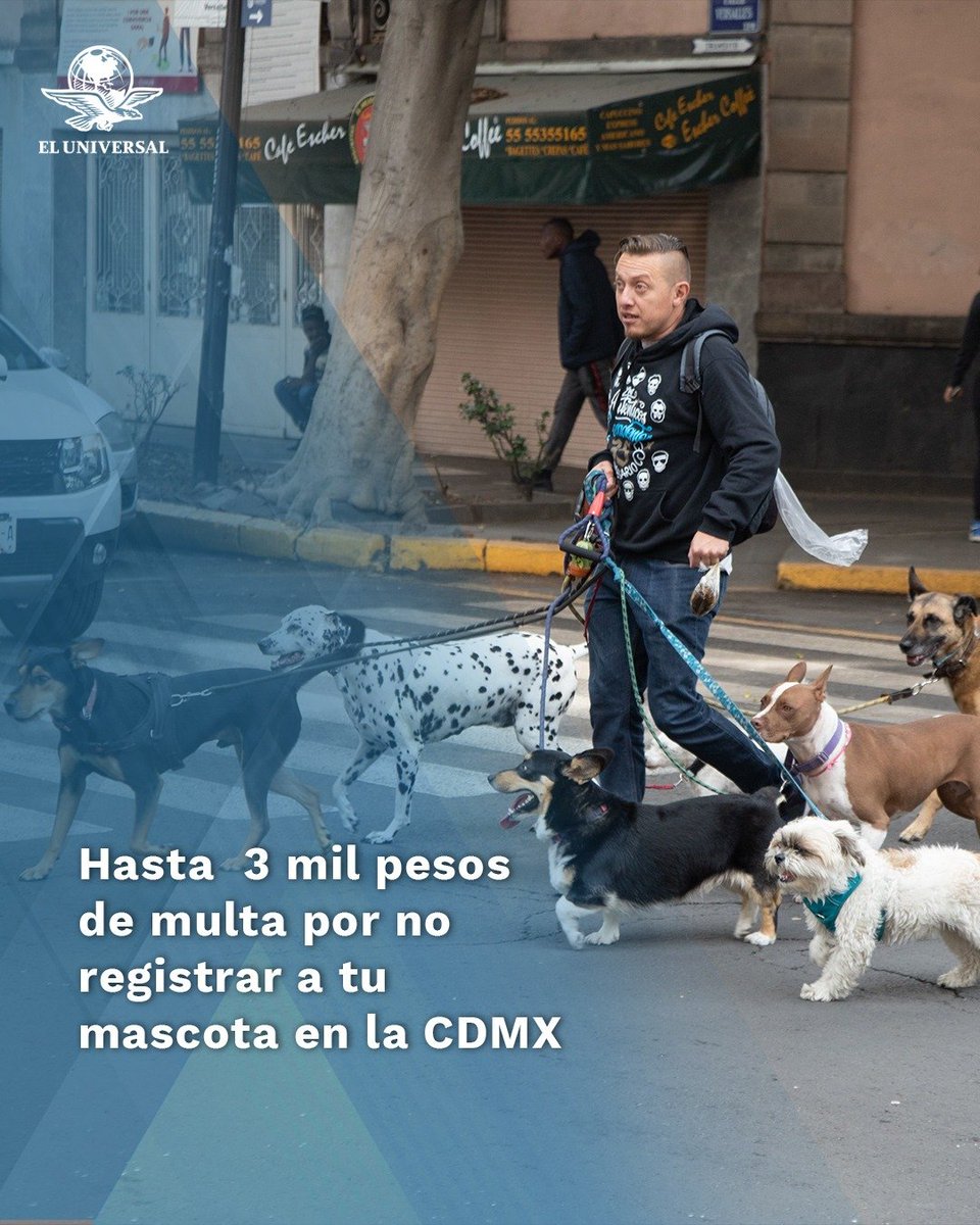 ¡Ya es obligatorio! 🐶 Ahora tu mascota deberá contar con el Registro Único de Animales de Compañía (RUAC) en la Ciudad de México. 👉tinyurl.com/2492aomy