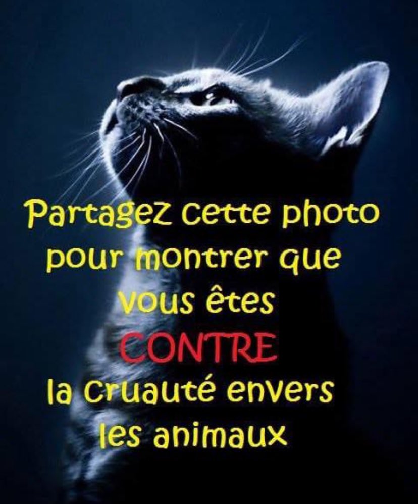 Je partage..