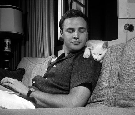 Birth centenary of Marlon Brando today. The greatest actor to have worked in films.