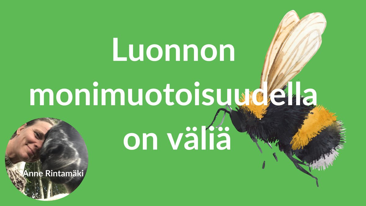 Anne Rintamäki: 'Ruoasta puhuminen tai kirjoittaminen ei ole helppoa, sillä eriäviä mielipiteitä löytyy aina ja keskustelu menee herkästi tunteisiin' epky.fi/epanet/epanet-… @Annejapojat @UniTurku @SBiodiful @BDverkosto @Mtk_ep #luonto #ruoka #monimuotoisuus #tutkimus