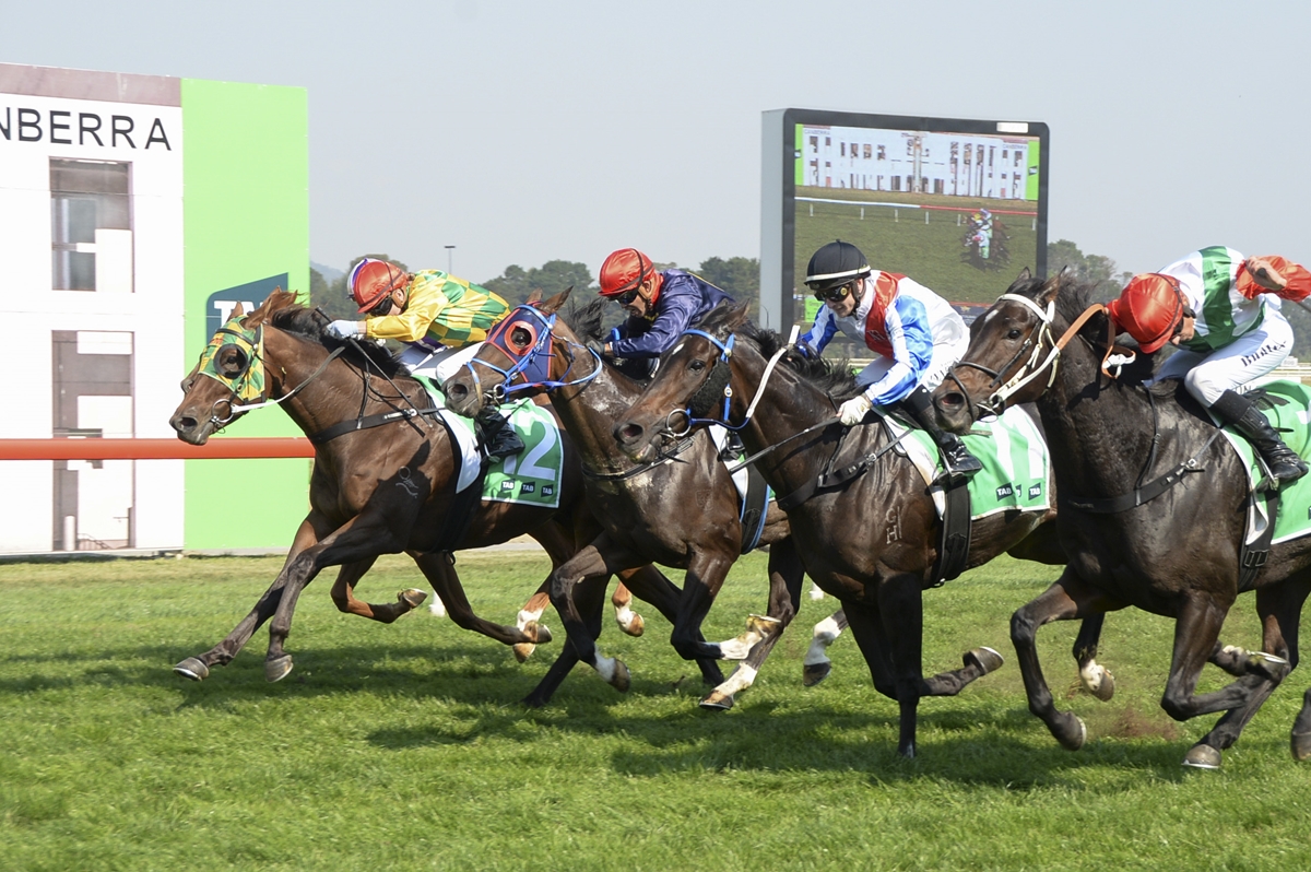 We are racing on Friday, 12 April for West Belconnen Warriors RLFC Race Day 🐎 Racing from 12:45pm. Gates open 11:45am. Entry is FREE 🤗