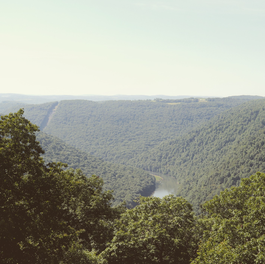 Coopers Rock State Forest 
Bruceton Mills, #WestVirginia

50 miles of hiking and biking trails
12,000 acres of forest 
3.5 Hours From DC
1.5 Hours From Pittsburgh 
3.5 hours from Columbus 
#visitmountaineercountry #YesWv