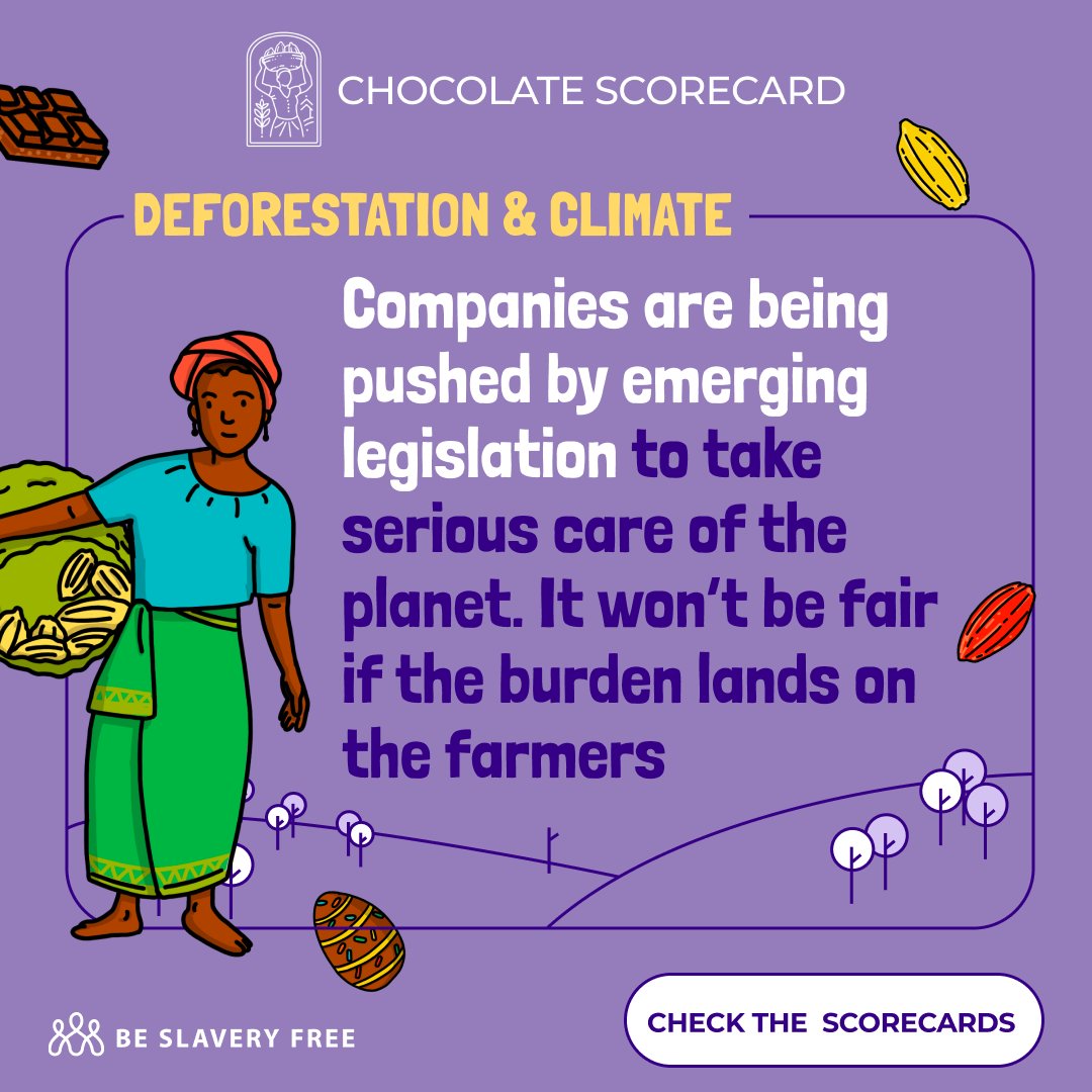 The bitter truth is that to create new #cocoa farms, the chocolate industry is fuelling #deforestation, destroying habitats and hitting the accelerator on #ClimateChange. How does your favourite chocolate score? Check out the latest #ChocolateScorecard at chocolatescorecard.com