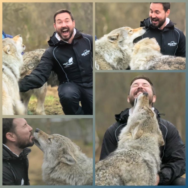 #picoftheday 

One of the BEST moments from #Norwegianfling Martin and his pack. Absolute tv gold 🙌🏻🐺👌🏼

Catch up on @BBCiPlayer u won’t regret it ⭐️

Have an amazing day everyone 👍🏼

#wolfpack 
#Norway 
#travelshow 

@martin_compston ❤️