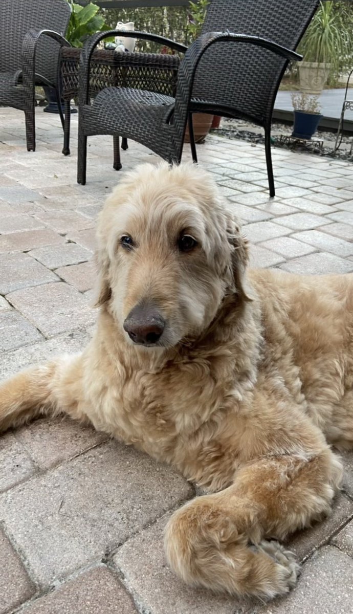 court 🦋 tweet media