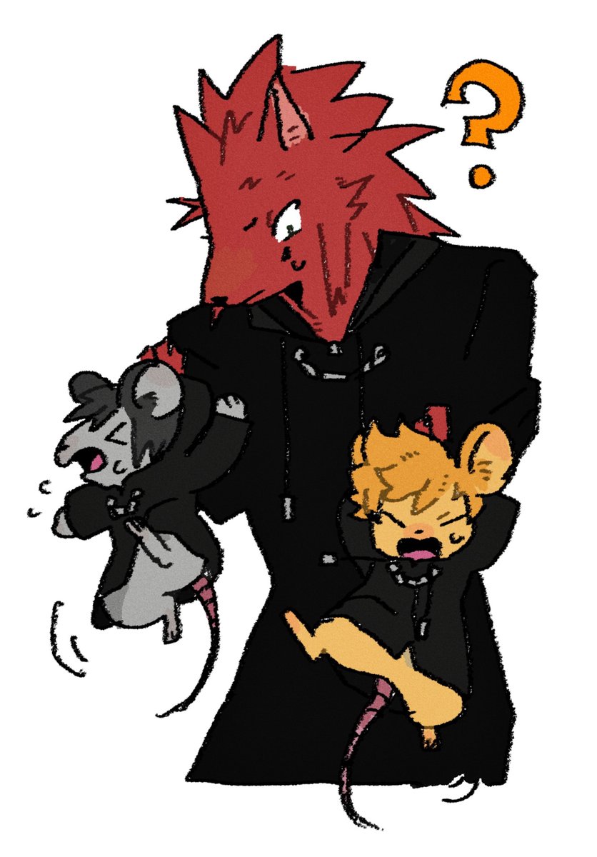 まぶち (@mabuchi626) on Twitter photo 