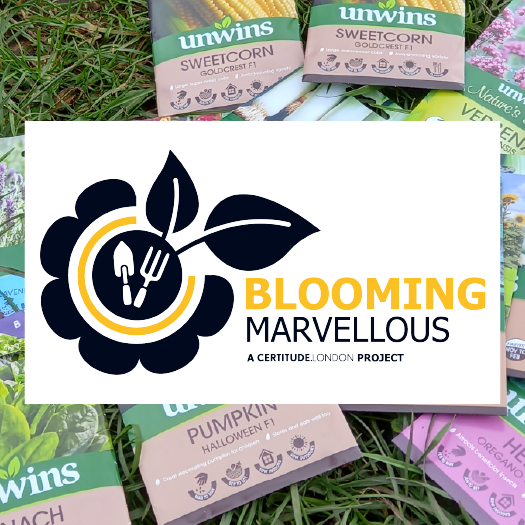 Join the Blooming Marvellous Community Allotment sessions - every Wednesday between 11.30am – 3.30pm in #Hounslow certitude.london/events/bloomin… #ForTheLifeYouWant #Certitude