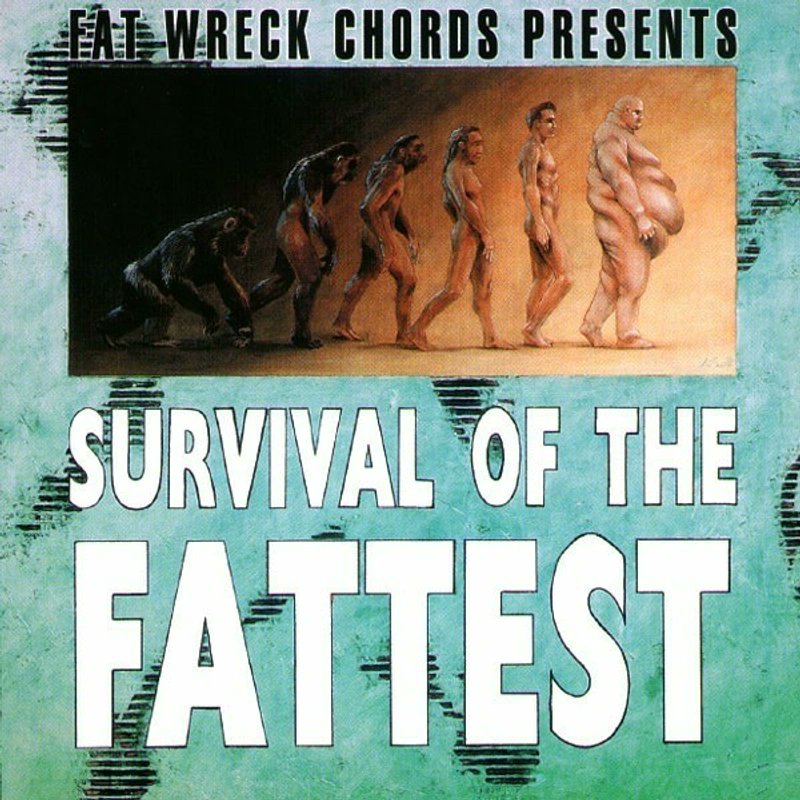 A PERFECT album from the 1990s that ISN'T Nirvana, Pearl Jam, Soundgarden, or Alice In Chains

It's technically a compilation of multiple punk bands, but I highly recommend Survival of the Fattest from the Fat Wreck Chords label in 1996. 
#NOFX #Propagandhi #Lagwagon #MeFirst