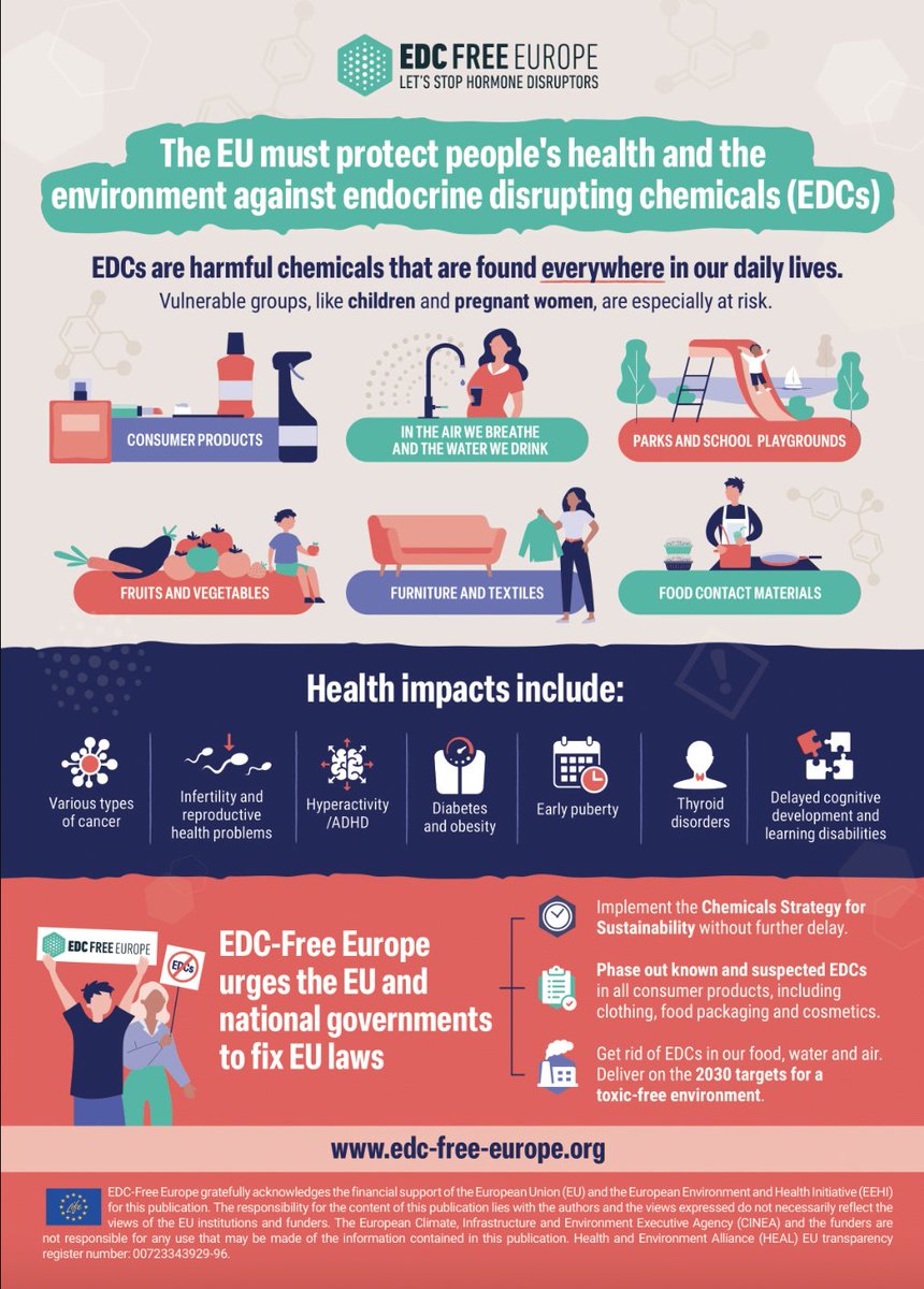 Ahead of the 🇪🇺 European Union elections in June, we urge the EU & national governments to take immediate action to fix EU laws to minimize & ultimately end people's exposure to hazardous #EndocrineDisruptorsChemicals 🧪. Check out @EDCFree's infographic: edc-free-europe.org/articles/press…