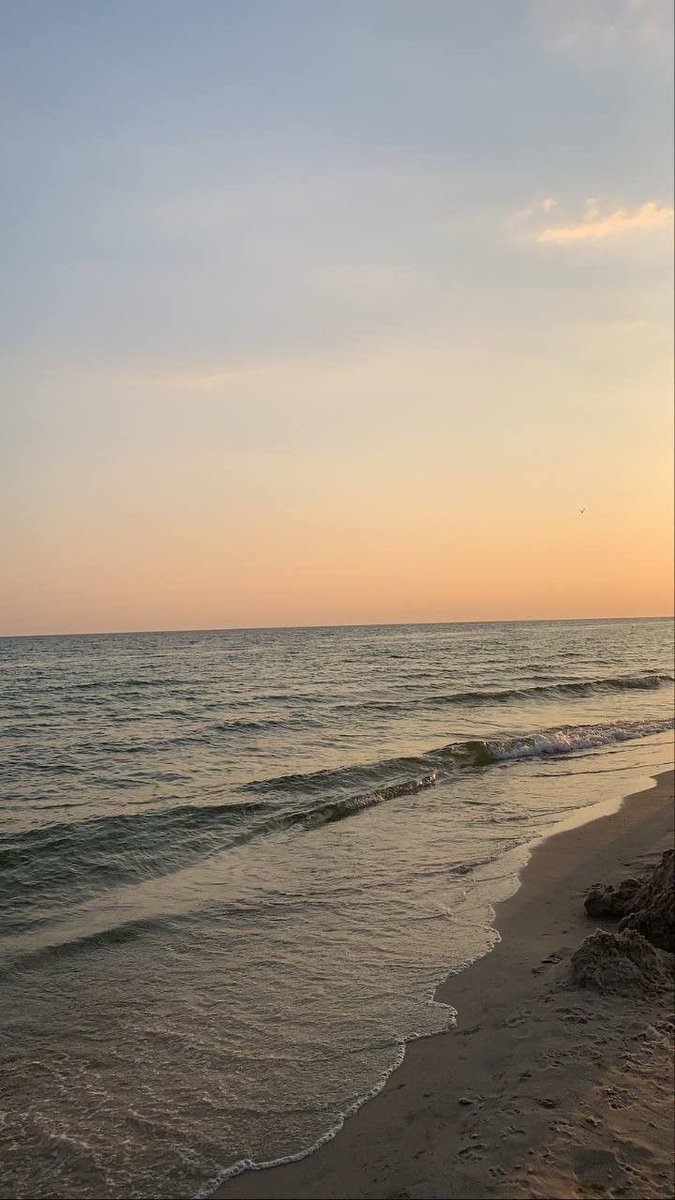 Aesthetics (@aestheticspost_) on Twitter photo 