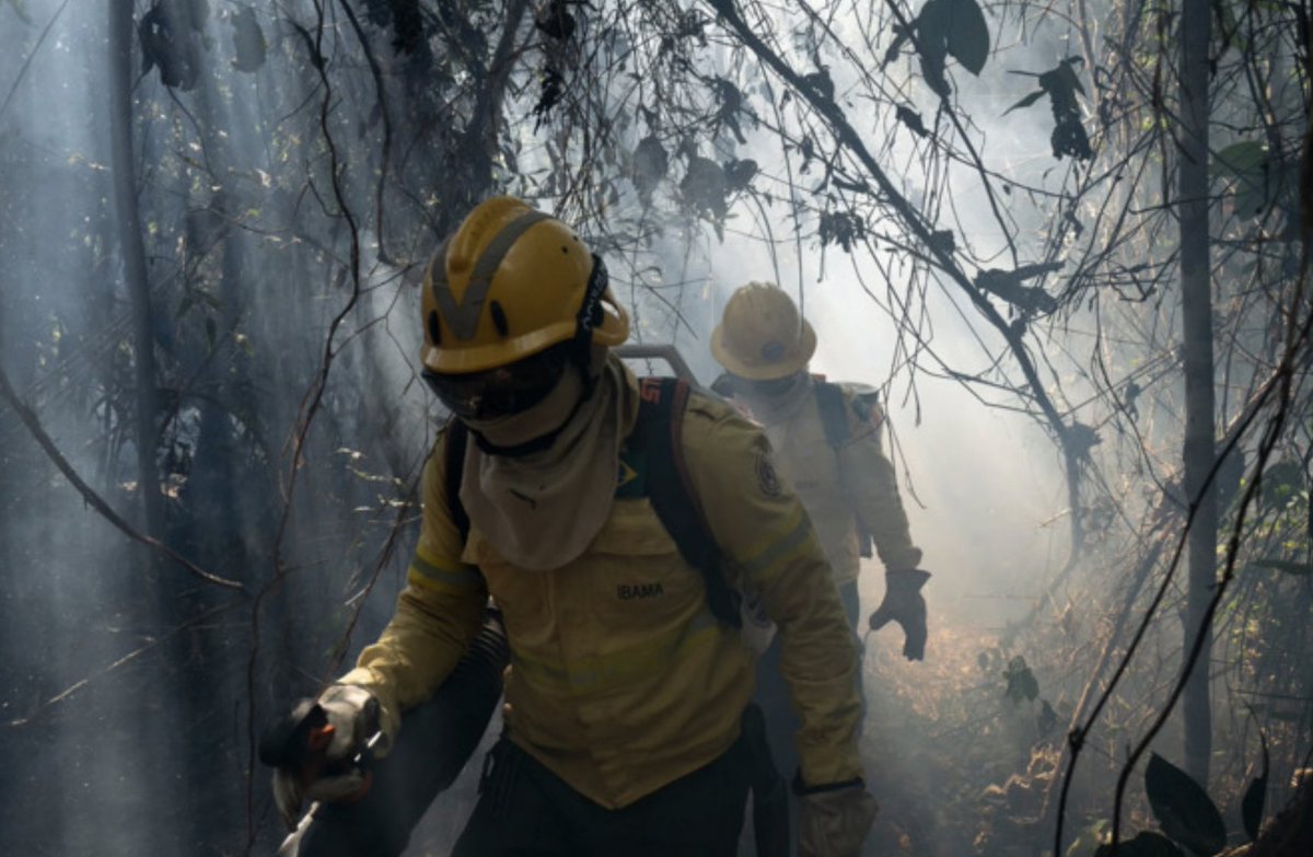 Noch nie hat es in Amazonien so viel gebrannt wie in diesem Jahr. Indigene Feuerwehr­leute versuchen den Regenwald zu retten. Ich war mit einer Brigade unterwegs und habe eine Reportage für @RepublikMagazin geschrieben (mit tollen Fotos von @lucaslandau): republik.ch/2024/03/30/wen…