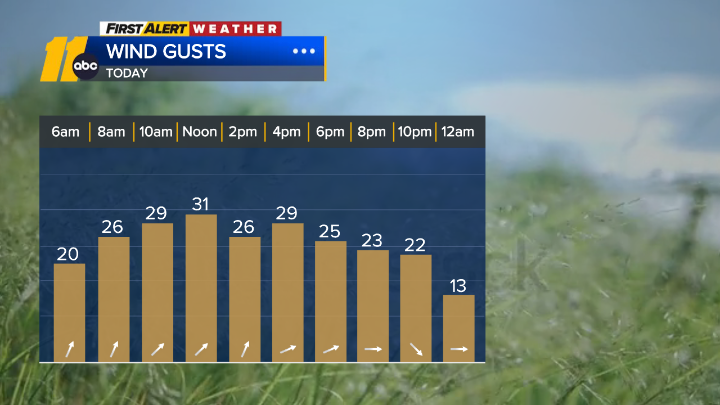 KweilynM's tweet photo. 4/3 Winds gusts of 30-40mph will be possible even outside of stronger storms today. #ncwx #Raleigh #FirstAlertDay @ABC11_WTVD https://t.co/8mbFAgsv7g