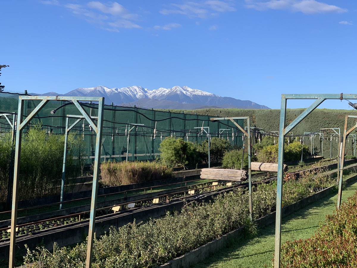 _Falbala's tweet image. Ce matin (trop dur 😉) tournage à la pépinière départementale pour le journal ! Présentation par nos jardiniers passionnés de 🌱 🪴🌿 résistantes au climat de + en + sec. La pépinière fournit les 226 communes du département 🙌
#ComInterne #Compublique #Agents 
#ServicePublic