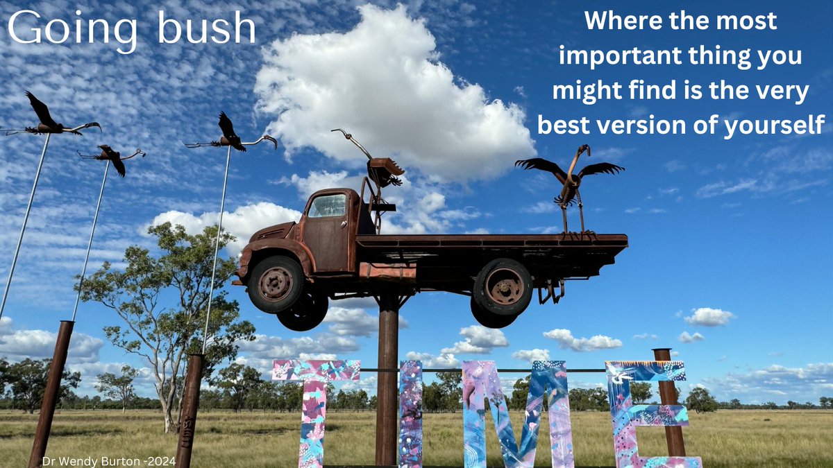 Busy GP who was born &amp; raised country but who has lived and worked in the city for 48 years goes bush for a week and not only had a great time, she found out that she had the skills required for the work she did. Let's talk about emerging models of care.  gps-can.com.au/going-bush