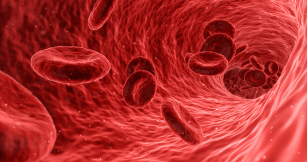 Training in a low-oxygen environment can stimulate red blood cell production through various mechanisms, including:
1.Stimulation of Erythropoietin (EPO) Release by the Kidneys
2.Increased Vascular Endothelial Growth Factor (VEGF) Production
3.Increased Blood Viscosity
-Resape-