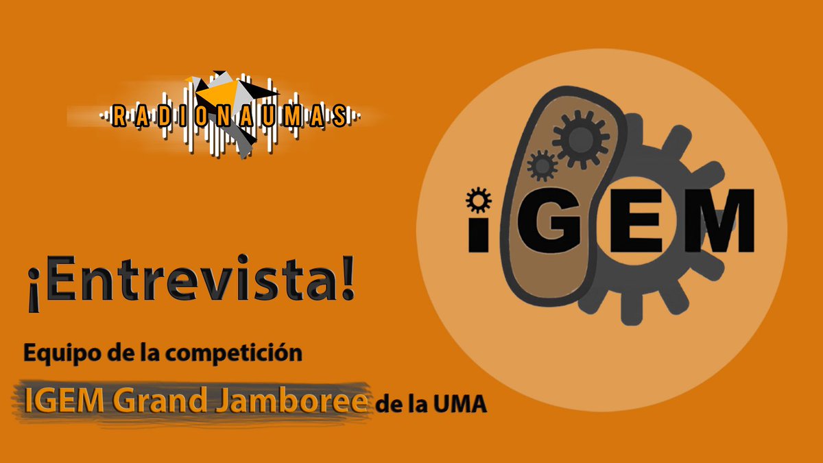 ¡Hola radionaumers!🎙️

Os esperamos a las 15h en #Spotify con un nuevo programa de #RadionaUMAs

Hoy entrevistamos al equipo de <a href="/iGEM_UMA/">iGEM_UMA</a> 🧪🧬

¡No te lo pierdas!