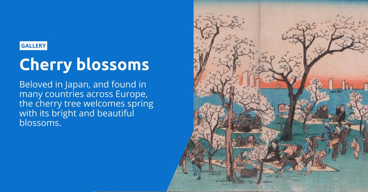 Do you have cherry blossoms in your area? Enjoy our gallery featuring #CherryBlossoms in different countries depicted by artists 🌸➡️ bit.ly/3YUCrdp #sakura