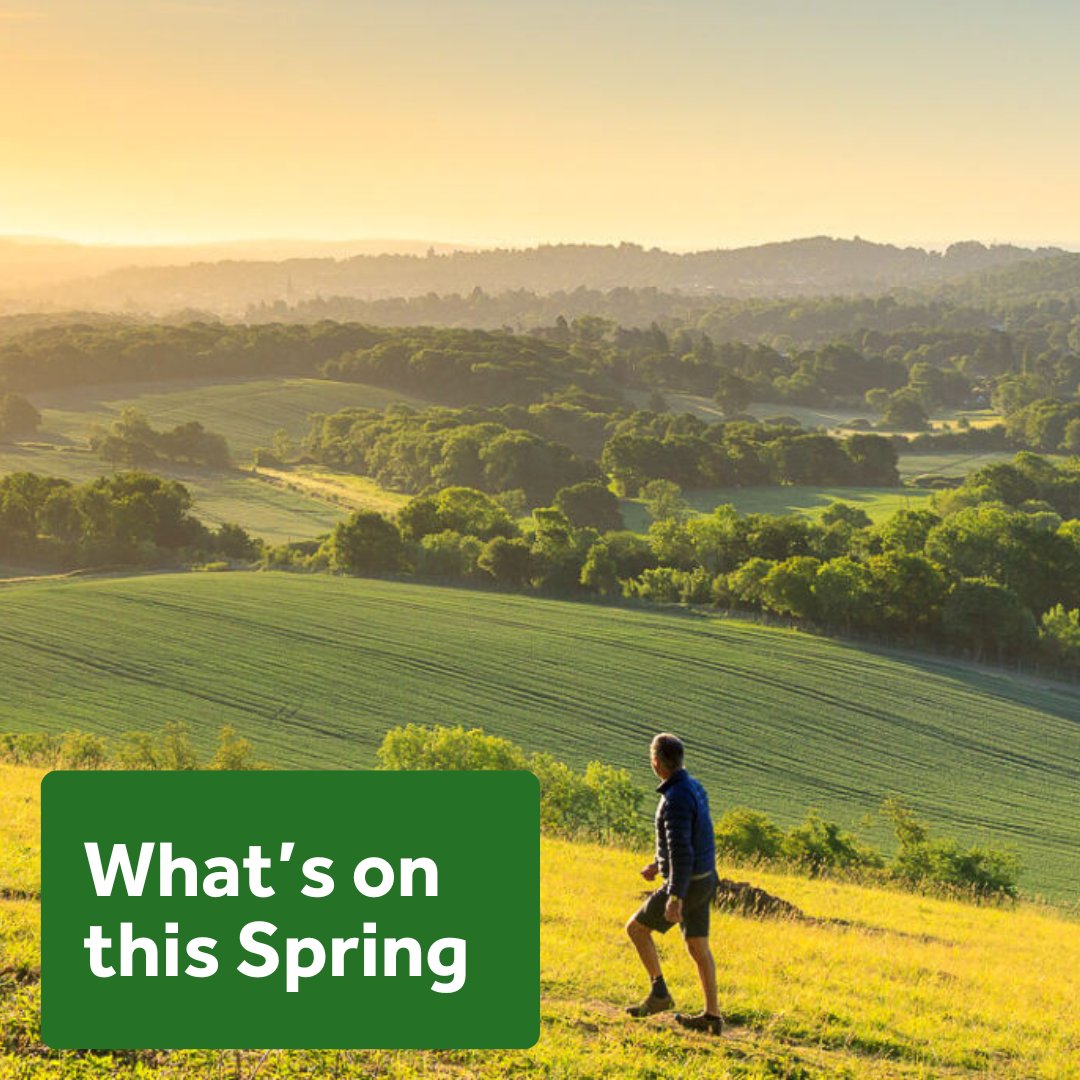 🌷What's on this Spring!🌷 From Horseman's Sunday, Spring Fairs, yoga and tours of bee farms, there are a whole variety of events and activities to enjoy this spring in the #SurreyHills. surreyhills.org/events/ 📷 John Miller Photography