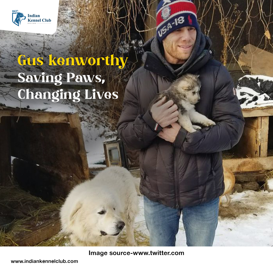 From Olympics to Compassion: Gus Kenworthy's Heroic Rescue 

For the latest updates and news, visit indiankennelclub.com 
.
.
.
.
#GusKenworthy #AnimalHero #OlympicRescue #CompassionInAction