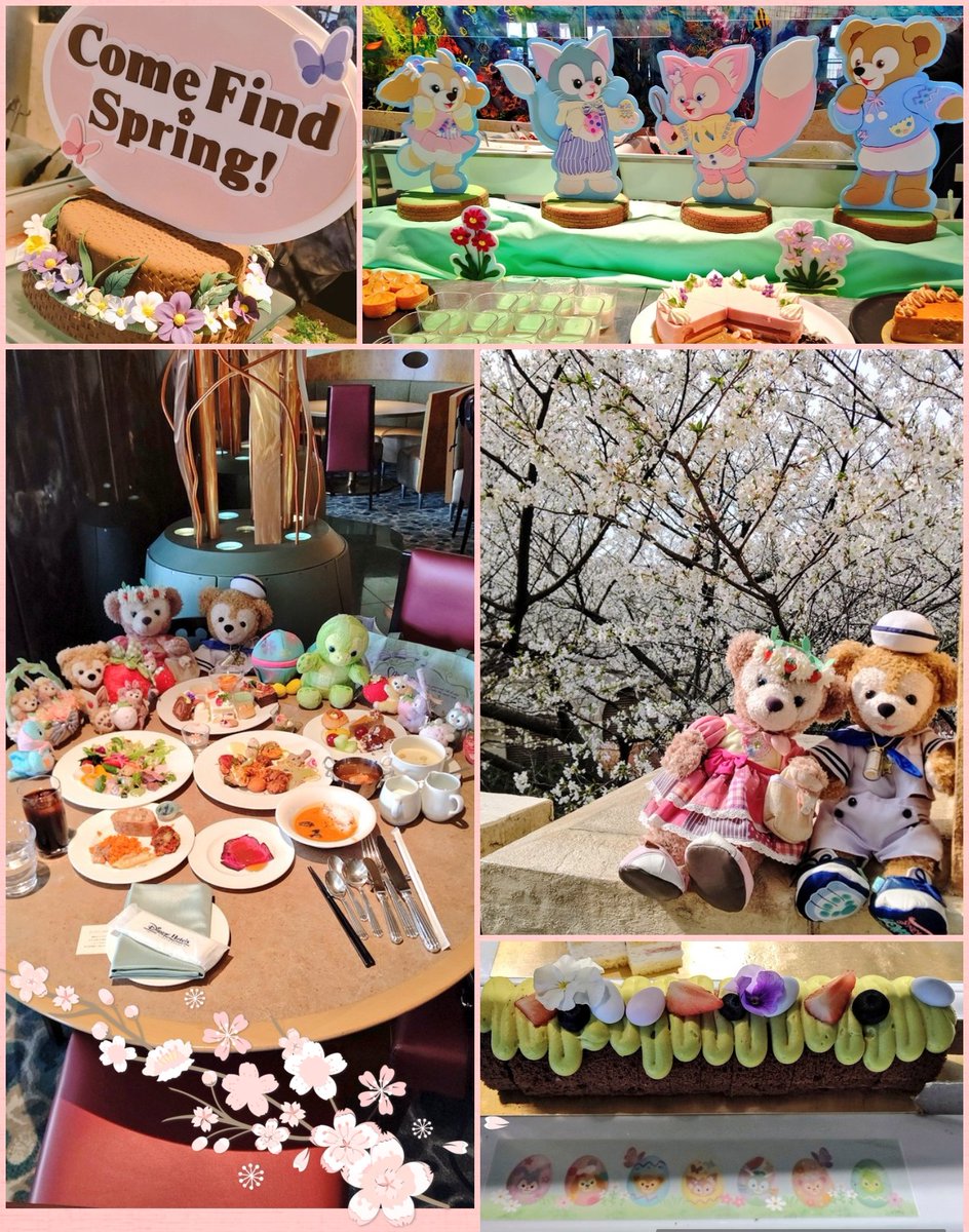 junaduffy's tweet photo. Duffy好きを除いての食の感想はミラコは本格地中海料理♡パンがどれも旨い＆スイーツは甘さ控えめでお勧めは紅茶チーズケーキ
🍰ショートはふわとろ系で絶品♡

上の動画で店内の様子もタイミング的に撮れました⇧参考に💡

＊予告４月はランホのブッフェにも行きます🧸
#TDR_now #オチェ #ミラコスタ https://t.co/220J9y19GV