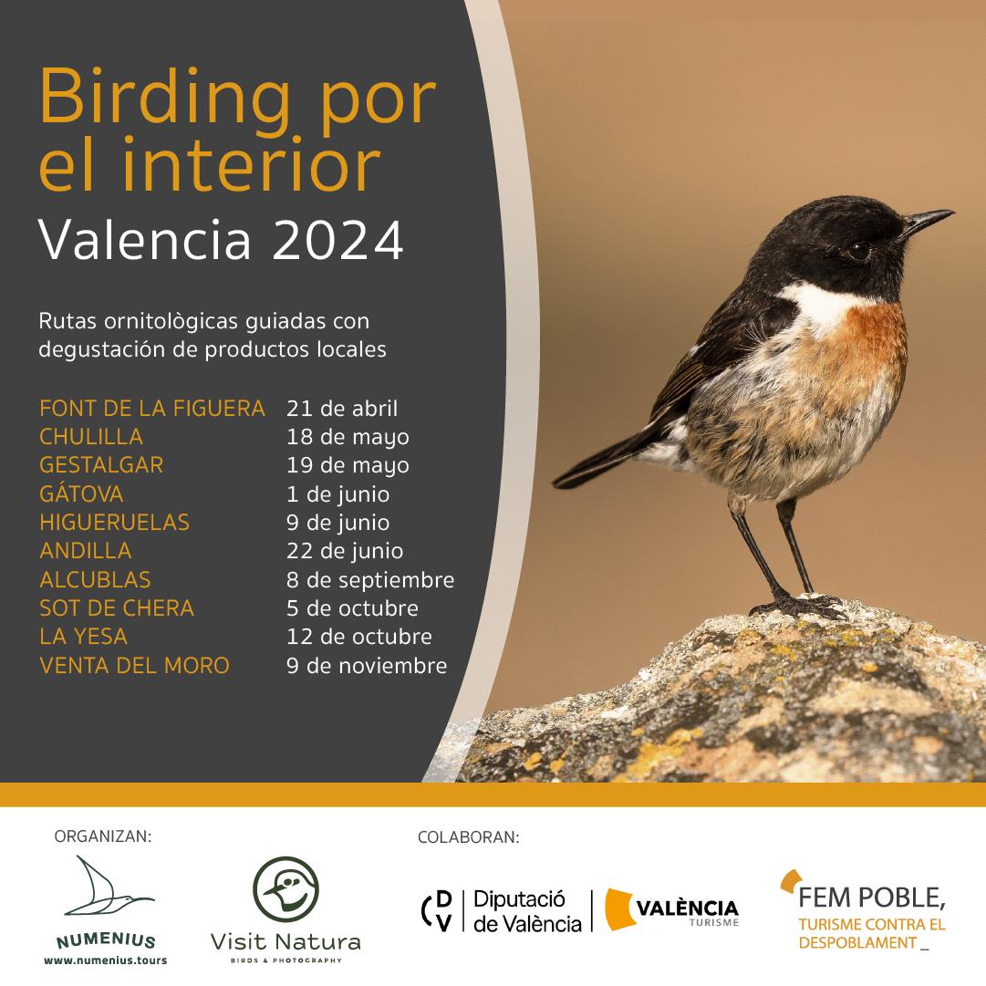 #Birding por el interior te ofrece 10 experiencias turísticas de observación de aves en municipios del interior de la provincia de #València. 

¿Te apetece? 👉acortar.link/3B3xG3

@Numenius_tours @VisitNatura @aytochulilla @AGestalgar @baroniaAndilla @AlcublasT @AytoSot