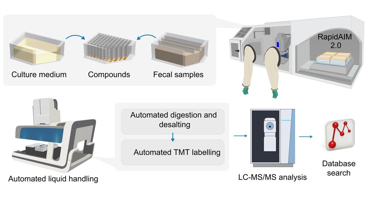 😇RapidAIM 2.0: a high-throughput assay to study the functional response of human #gutmicrobiome to #xenobiotics
View: 👇oaepublish.com/articles/mrr.2…
#Gutmicrobiome #metaproteomics high-throughput #invitroassay #biobanking  #functionalresponses
<a href="/DanielFigeys/">Daniel Figeys</a>
Welcome to read! 😋