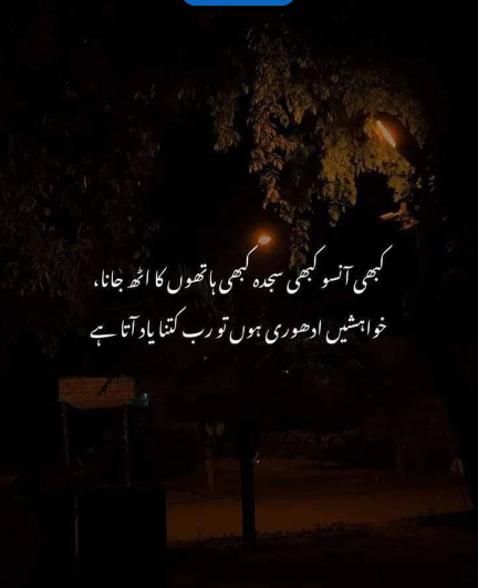 Asra Sadaf tweet media