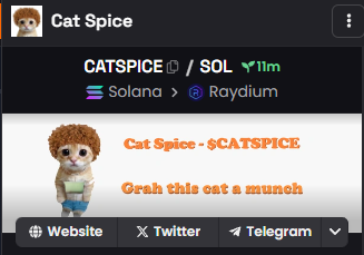 CatSpiceSol's tweet photo. DexScreener socials updated! https://t.co/hzglvIbQyb