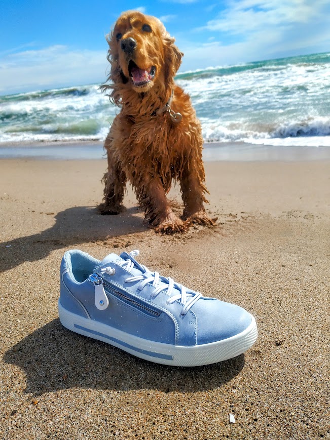 CalcatsPonsa's tweet image. Cada pas més lleuger i còmode amb les sneakers 👟 de la nova col·lecció.
Impregna't de l'energia positiva de la primavera 🍓☀🏵
#calçatsponsà #barcelonashopping #sneakers #primavera #🌞 #1929 #💙 @shoes_ponsa
