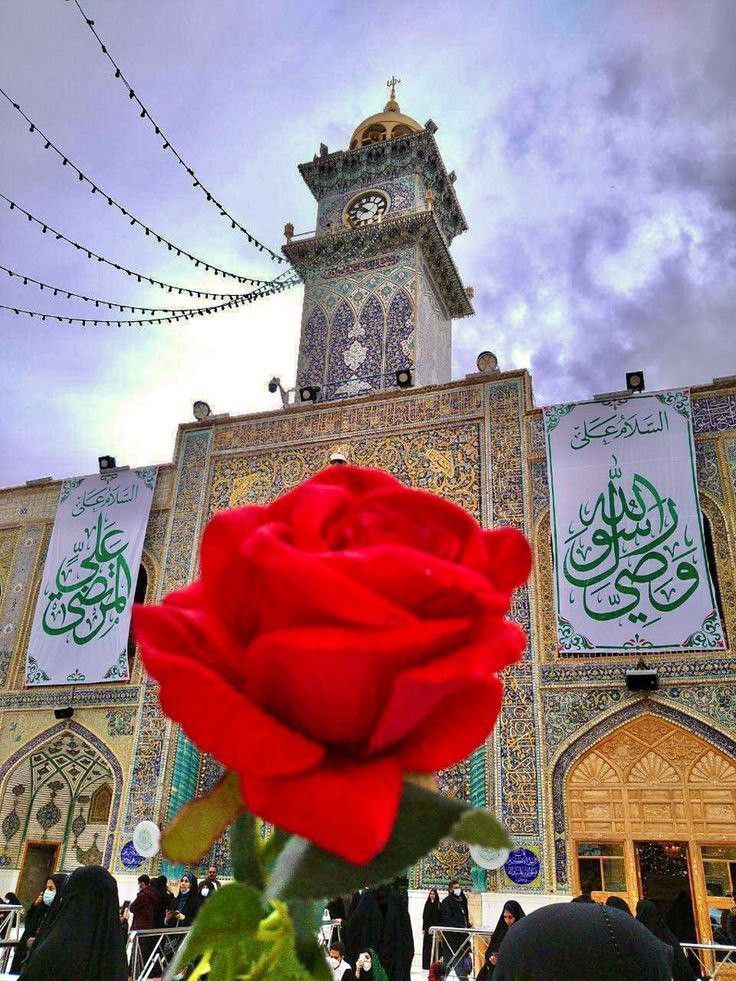 'Be like the flower that gives its fragrance to even the hand that crushes it.' Hazrat Imam Ali (as)