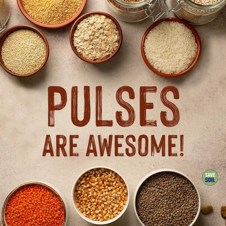 imnish_'s tweet photo. #SaveSoil https://t.co/XFfHAOAGlG