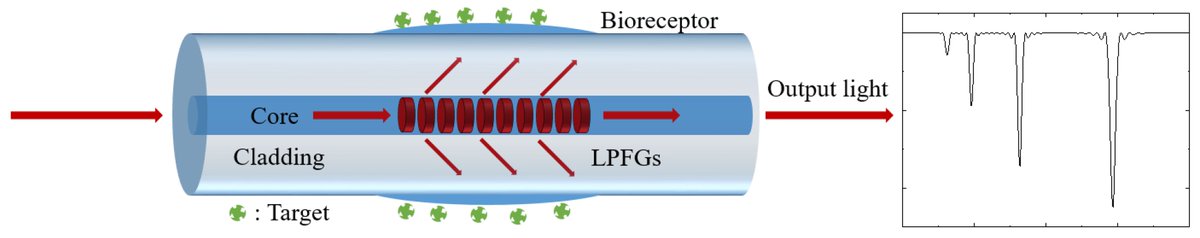 Sensors_MDPI's tweet image. #highlycitedpaper
Long-Period Fiber Grating Sensors for Chemical and Biomedical Applications
mdpi.com/1424-8220/23/1…
@HuazhongUST
#biosensors #optical_fiber_sensor #long_period_fiber_gratings #sensitivity_enhancement #functionalization_method